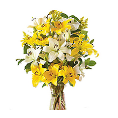 10 Yellow n White Liliums VASE